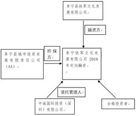 阜寧鐵軍文化2018年定融